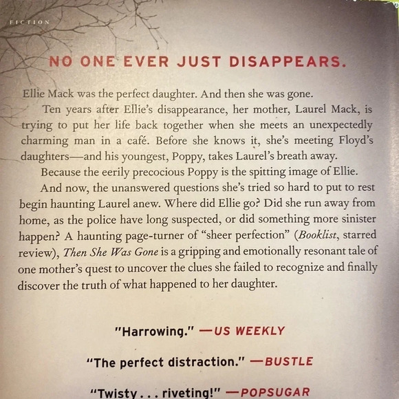 Then she was gone a novel by Lisa jewel - Picture 4 of 4